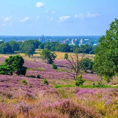 Holiday home In Gelderland Near Nature Trails, Cleaning Included