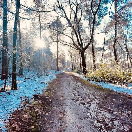 In Gelderland Near Nature Trails, Cleaning Included Mook
