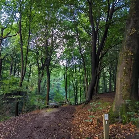 In Gelderland Near Nature Trails, Cleaning Included Holiday home