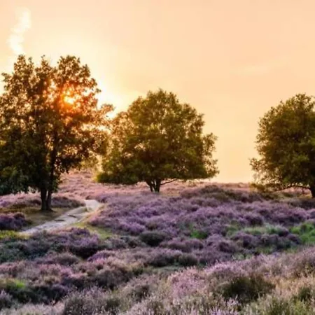 In Gelderland Near Nature Trails, Cleaning Included *