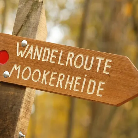 In Gelderland Near Nature Trails, Cleaning Included Holiday home *