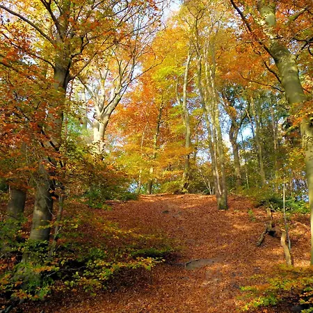 In Gelderland Near Nature Trails, Cleaning Included Mook