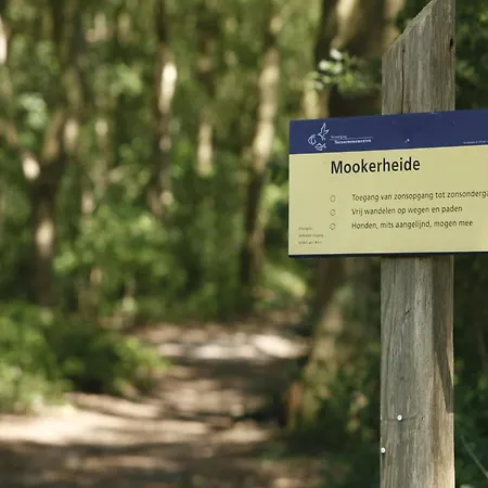 In Gelderland Near Nature Trails, Cleaning Included Holiday home